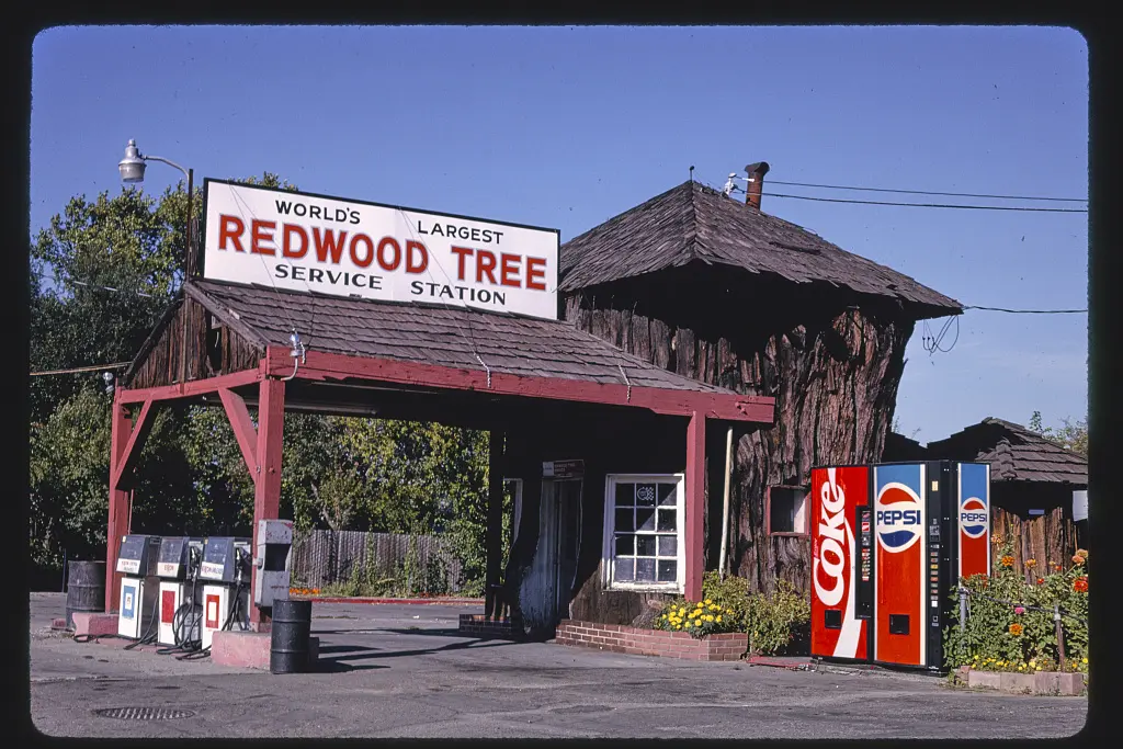 World's Largest Redwood Tree Service Station (1936), angle, Route 101, Ukiah, California