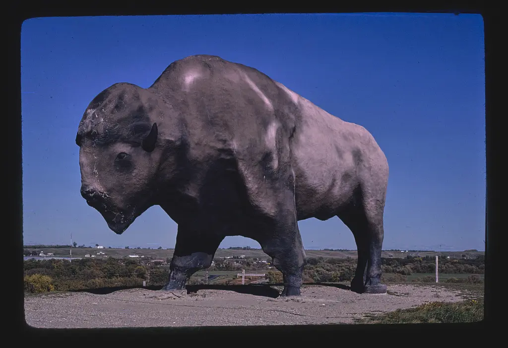 World's Largest Buffalo, Jamestown, North Dakota